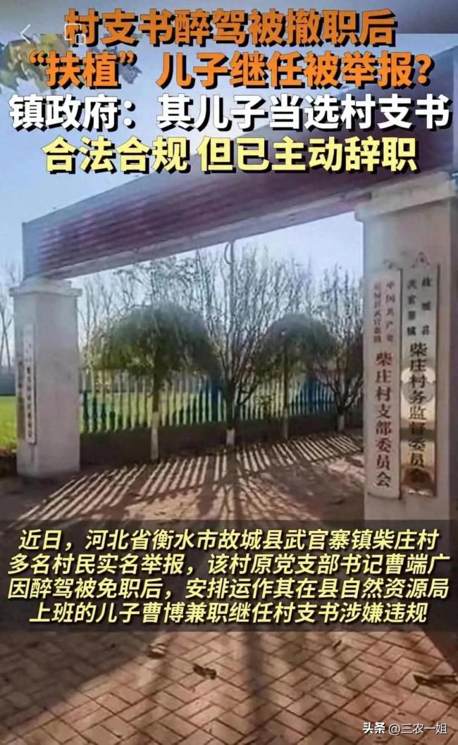 村支书被免职后被举报扶植儿子继任