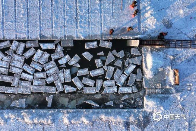 哈尔滨开始采冰建造冰雪景观