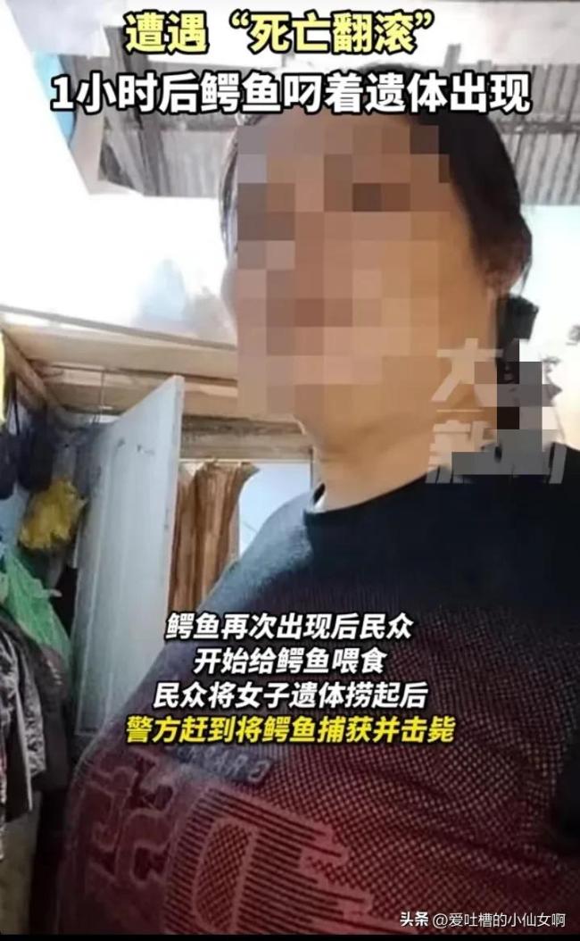 印尼女子河边洗脚被鳄鱼拖走后身亡 悲剧引发广泛关注