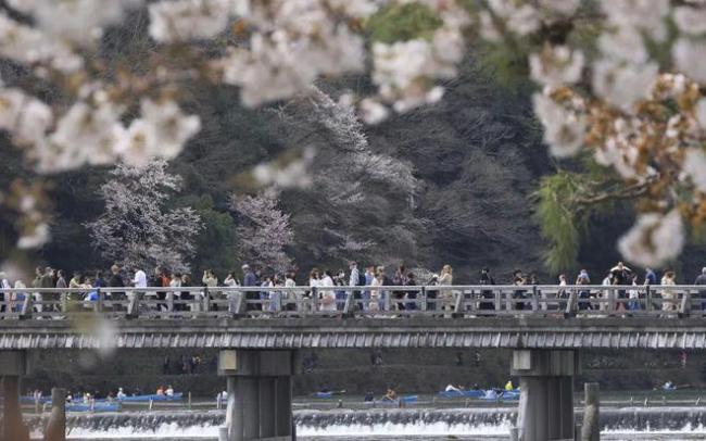 日本成了江浙沪打工人后花园，周五飞去泡汤，周一凌晨返工