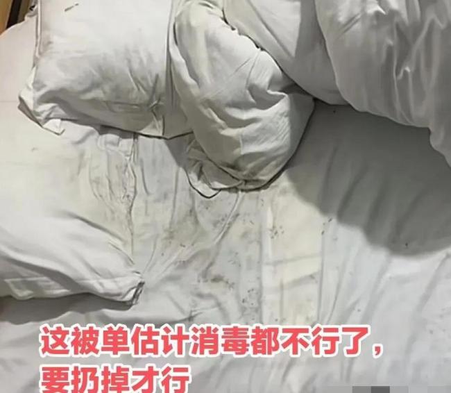 女生心情不好回家还被流浪狗偷家！