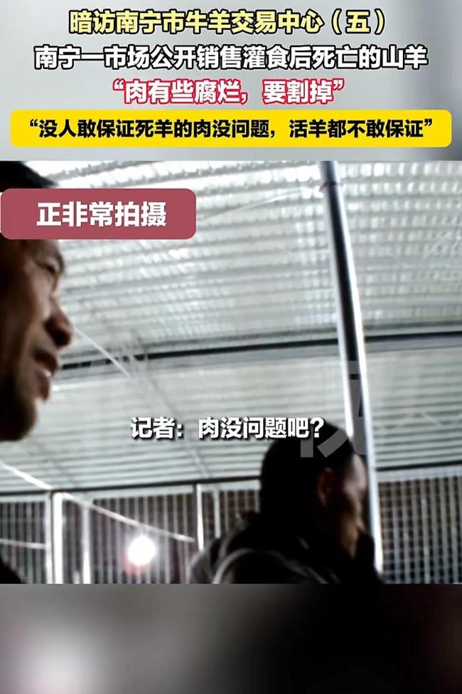 广西南宁山羊交易乱象调查 灌食增重黑幕曝光