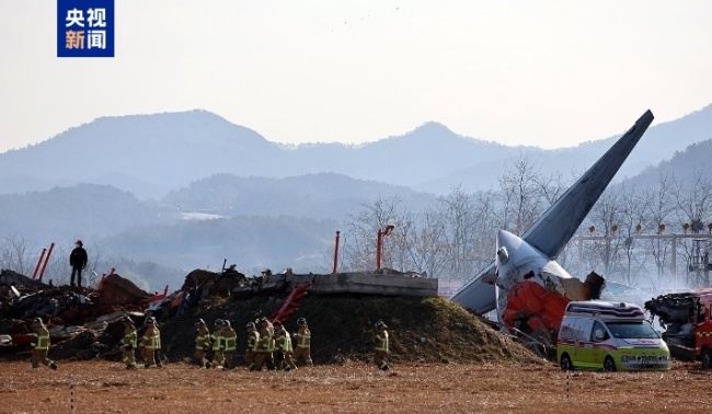 韩国客机起落架是否受飞鸟撞击影响 低空低速阶段最危险