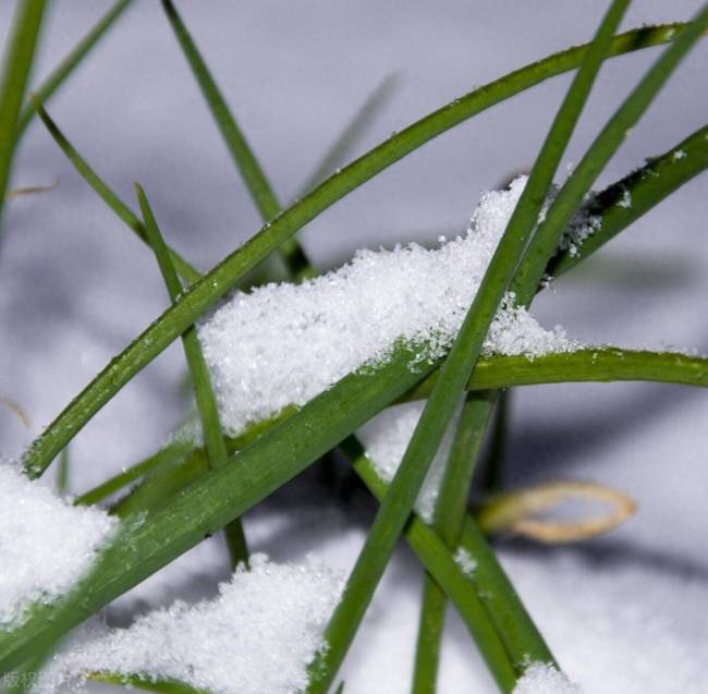 30号进入二九，俗语“二九一日晴，过年雪堵门”