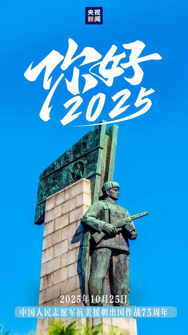 12张图，速览2025