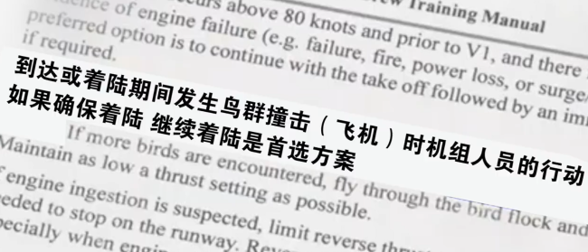 韩国济州航空培训手册部老实容公开 遇鸟撞应着陆