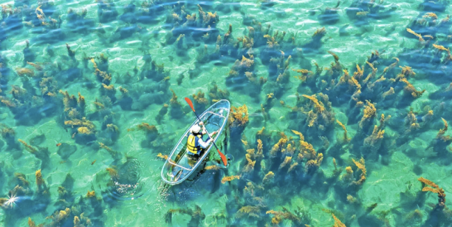 廣西打造全國首個零廢棄海島 樹立生態(tài)旅游新標(biāo)桿