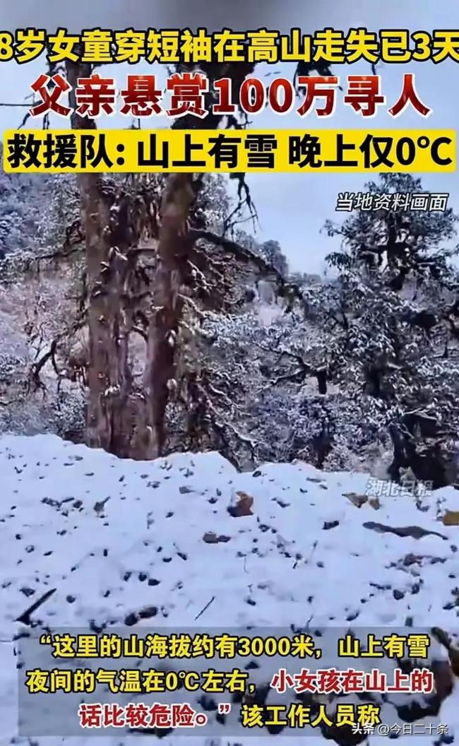 女童山里走失3天 父親懸賞100萬尋人 公眾熱議與反思