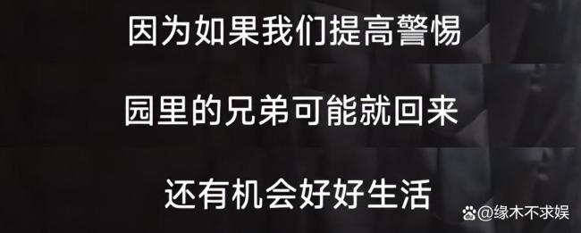 杨泽琪终于松口！曝被骗详细细节，提醒警惕生活化骗局