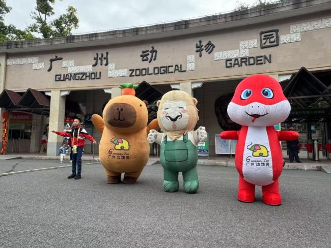 廣州動(dòng)物園蛇年迎春上新