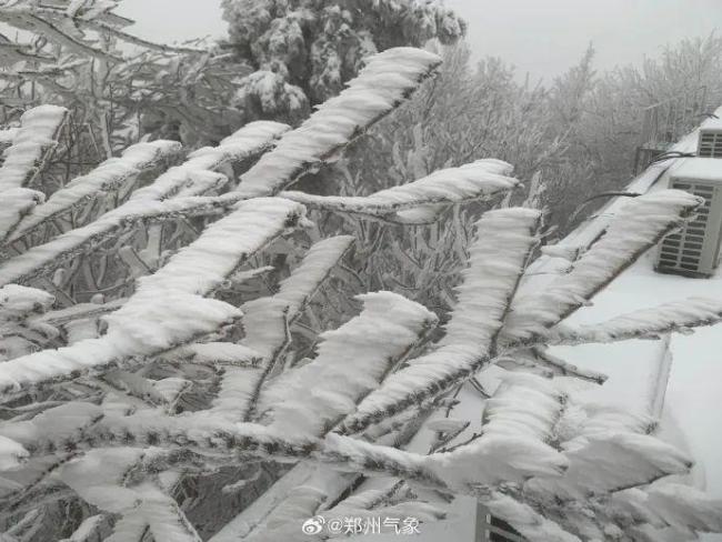 鄭州出現(xiàn)大暴雪 積雪深度超20厘米