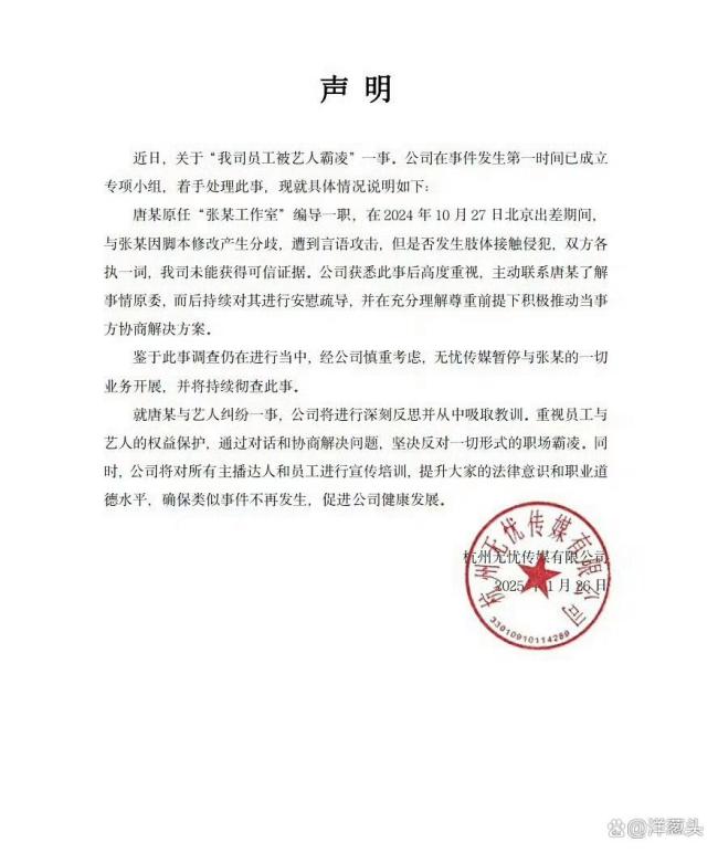 黄毛毛回应无忧传媒 控诉张大大暴力行为