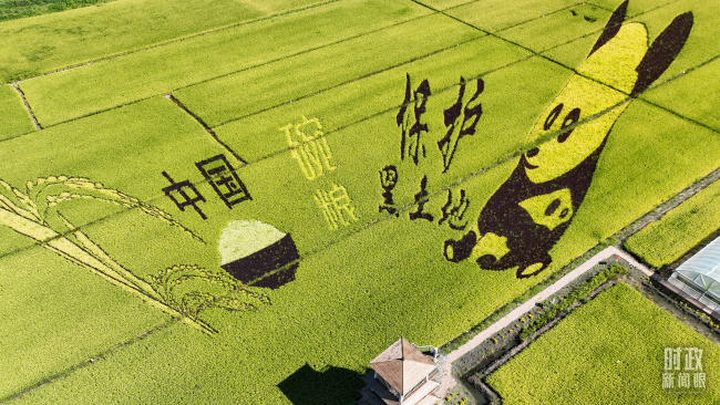時政新聞眼丨聚焦高質(zhì)量發(fā)展,，習(xí)近平對吉林提出哪些要求