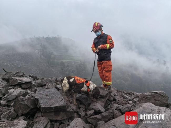 筠連山體滑坡全力搜救中 消防利用搜救犬、探測儀救援 不放過一個角落