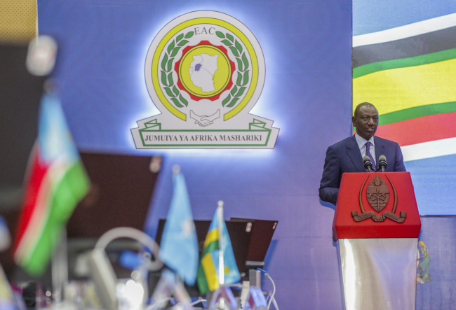 非洲领导人呼吁立即在刚果金停火 东共体与南共体联合会议