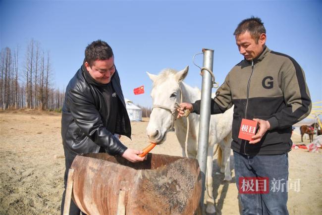 全网刷屏的“白龙马”痊愈了 状态良好恢复训练