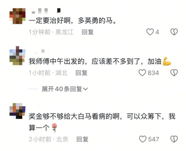 白马主人依立拜一夜未眠饭也吃不下 急寻兽医救白龙马