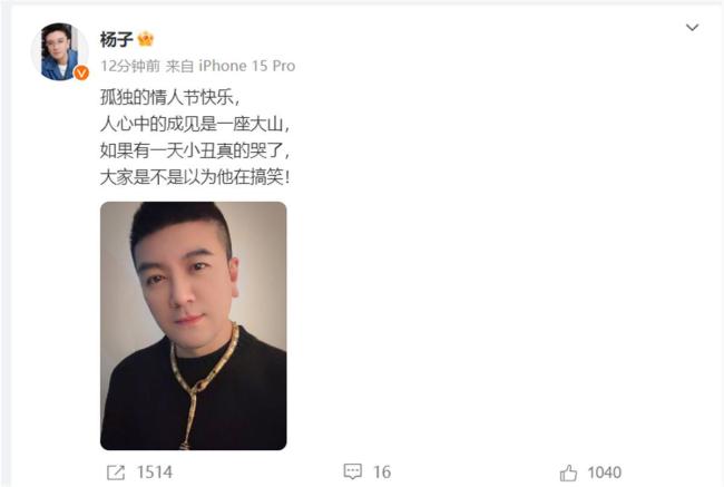 杨子：孤独的情人节快乐