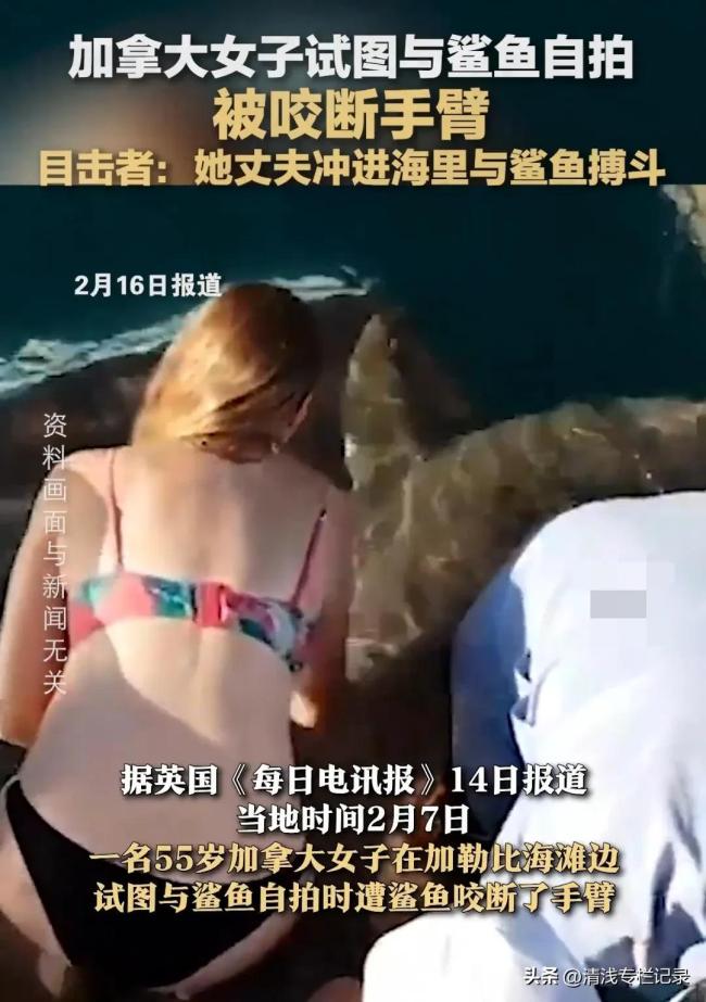 加拿大女子欲與鯊魚自拍被咬斷手臂 好奇心的代價