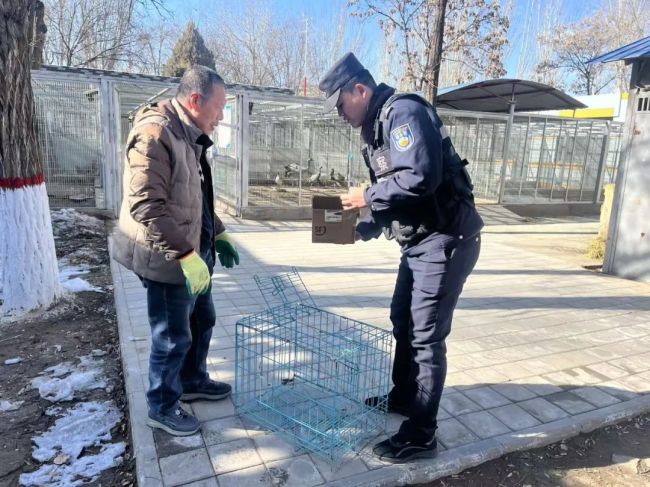 男子撿到保護(hù)動物鸊鷉送警救助 環(huán)保意識增強(qiáng)顯現(xiàn)