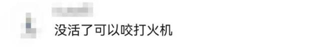 “最便宜蘋果AI手機(jī)”遭吐槽 性價(jià)比爭議不斷