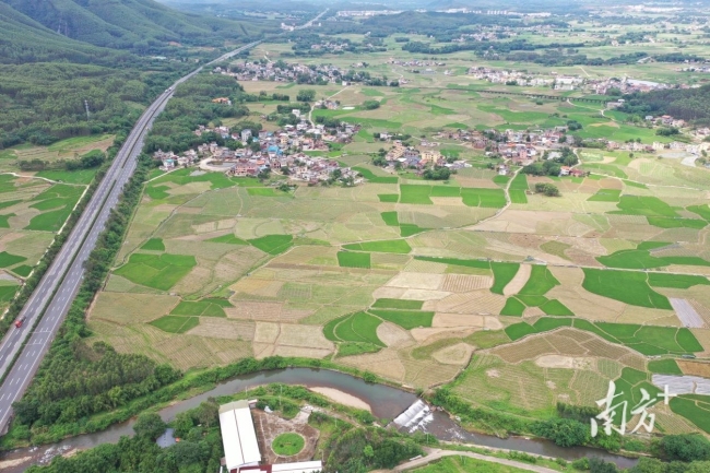 中央一號(hào)文件：維護(hù)農(nóng)村穩(wěn)定安寧 深化農(nóng)村改革助推鄉(xiāng)村振興