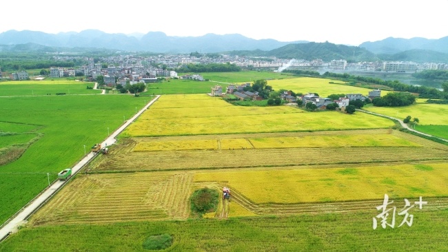 中央一號(hào)文件：維護(hù)農(nóng)村穩(wěn)定安寧 深化農(nóng)村改革助推鄉(xiāng)村振興