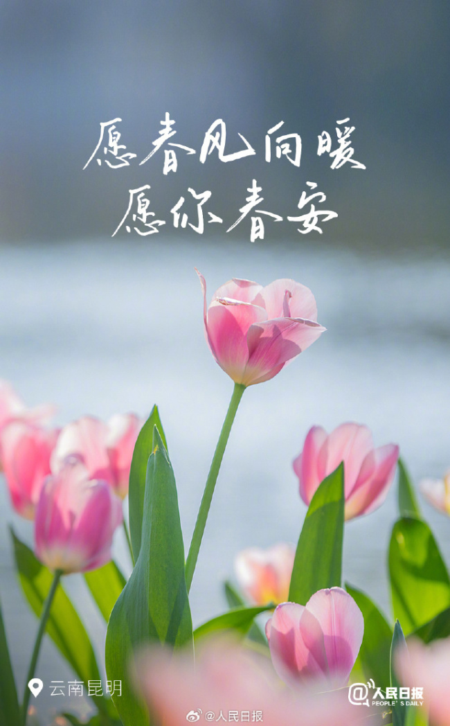 花開種花家，不負(fù)好時(shí)光,！多地已開啟花開模式