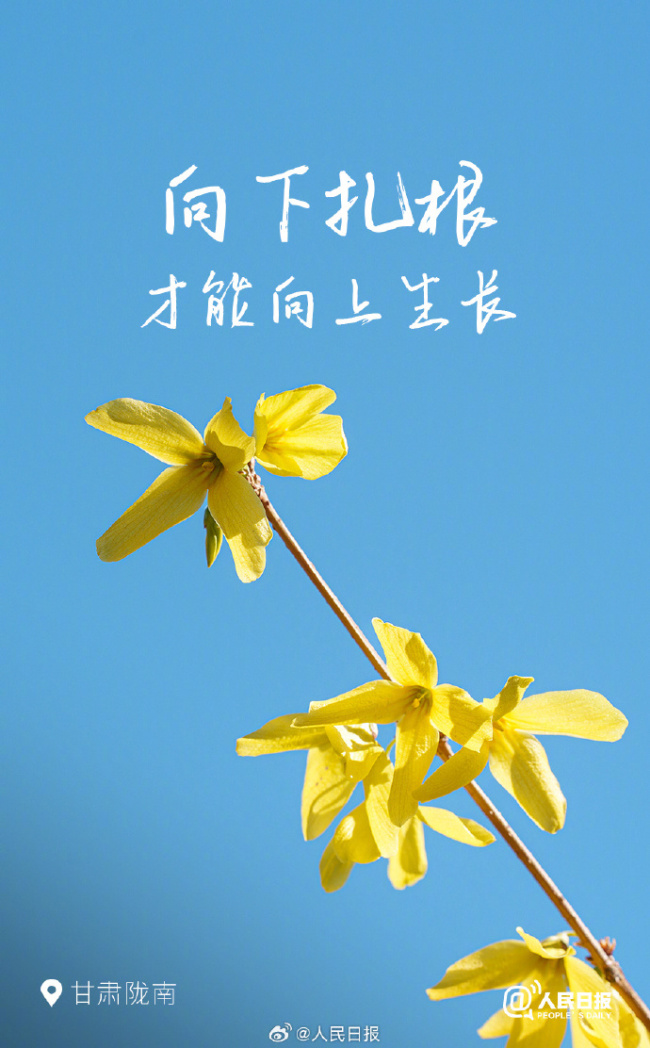 花開種花家，不負(fù)好時(shí)光,！多地已開啟花開模式