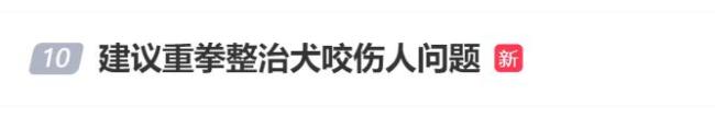 人大代表建議：重拳整治“犬傷人”問題 倒逼養(yǎng)犬人履行責任