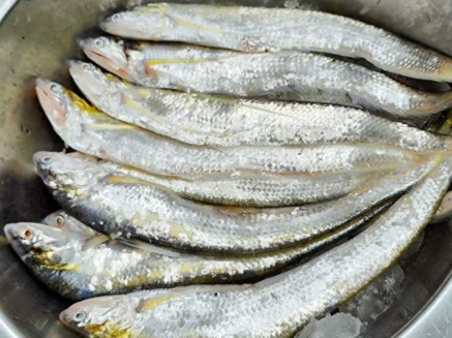 網紅餐廳開售“拳頭大”的刀魚餛飩