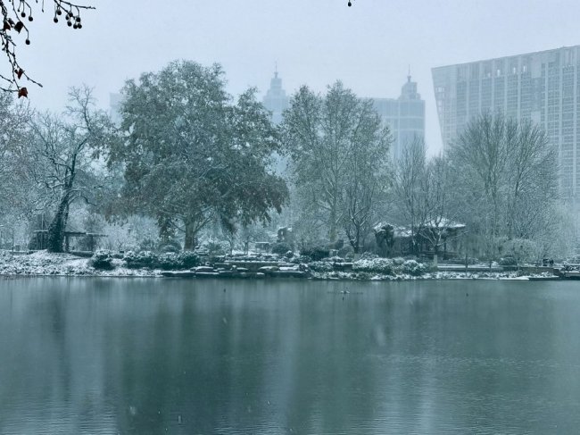 瑞雪普降胶东半岛 济南淄博等地银装素裹