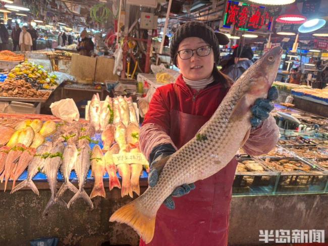 青島人愛吃的魚,，正大量上市,！春季海鮮嘗鮮好時(shí)機(jī)