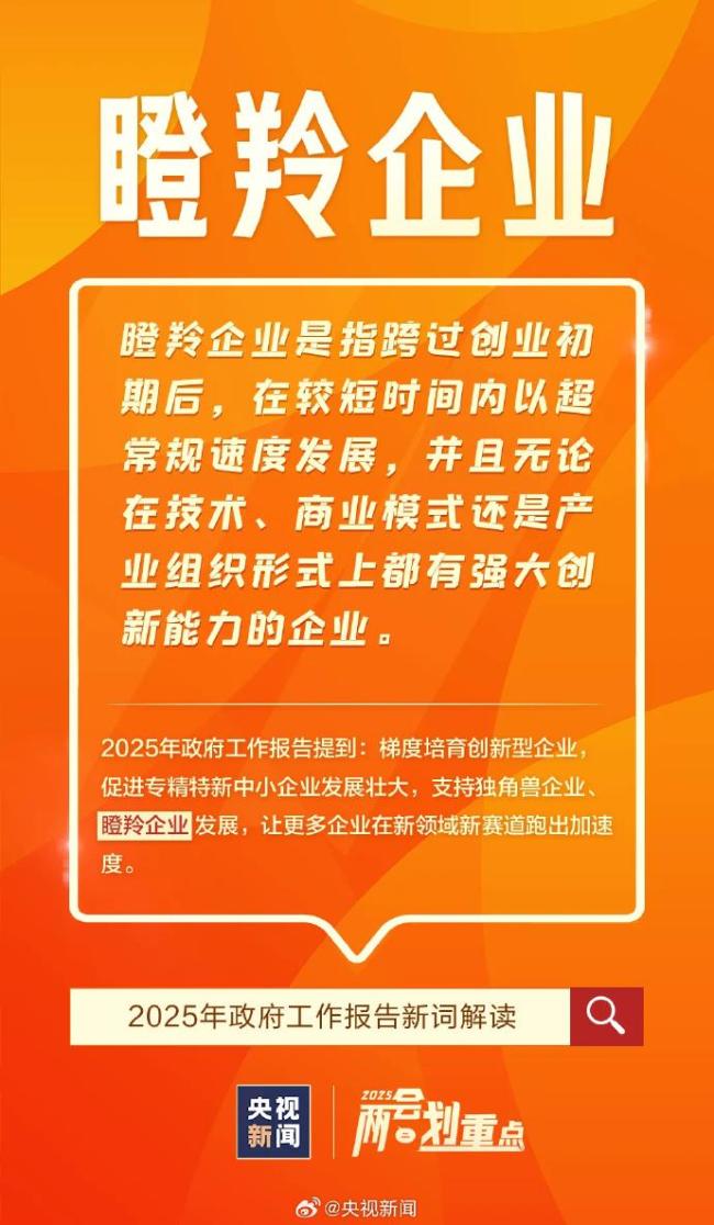 这些首次进入政府工作报告的新词是什么意思？