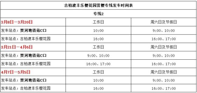 鄭州公交推出賞櫻專線 雙層浪漫巴士暢游花海