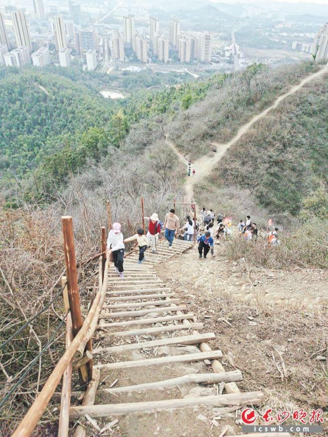 爺爺尖山峭壁上數(shù)年義務(wù)修建登山梯 感動全網(wǎng)的“木梯爺爺”