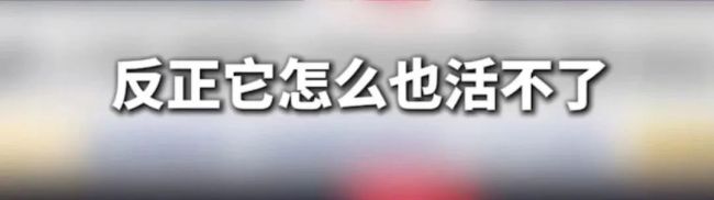 專家解讀俄軍天然氣管道突襲行動 特種部隊冒險突襲