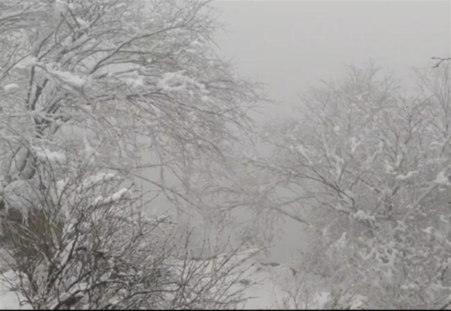 湖北小伙登华山失联8天 悬崖下发现背包