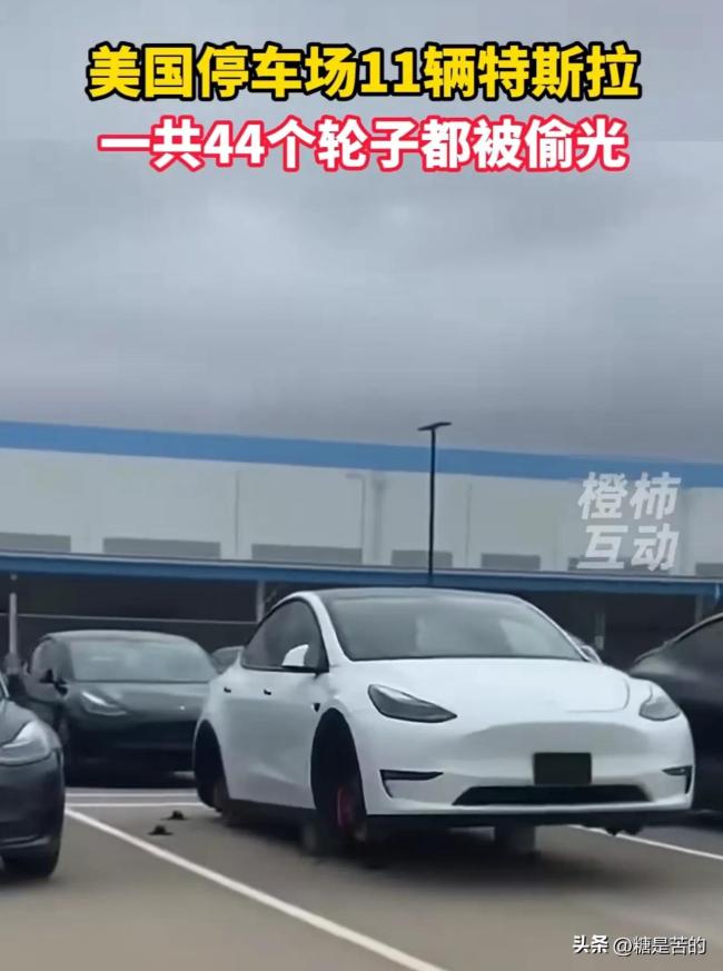  美停車場(chǎng)11輛特斯拉44個(gè)輪子全被偷