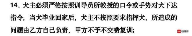 潘宏團隊回應(yīng)4000元訓(xùn)狗染病 訓(xùn)練效果引爭議