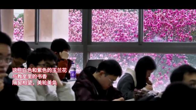 被華中科技大學(xué)“玉蘭教室”刷屏了 花香書香相映成趣