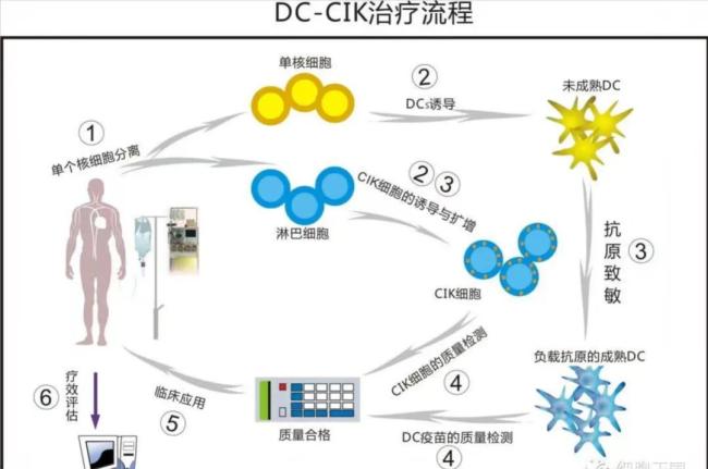 免疫細(xì)胞療法存在哪些亂象 灰色產(chǎn)業(yè)鏈屢禁不絕