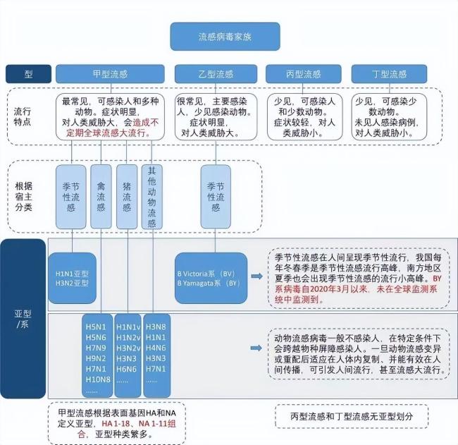 广东报告1起流感暴发疫情 甲型H1N1病毒引起