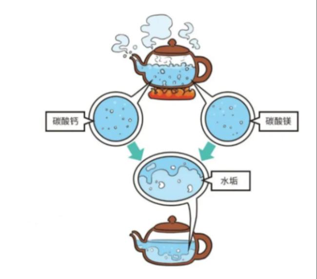 自來水有水垢不等于水質差 市民擔憂引發(fā)討論