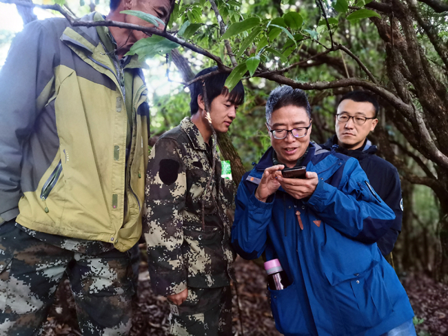 熱成像鏡頭下長臂猿有點可愛 科技助力生態(tài)保護