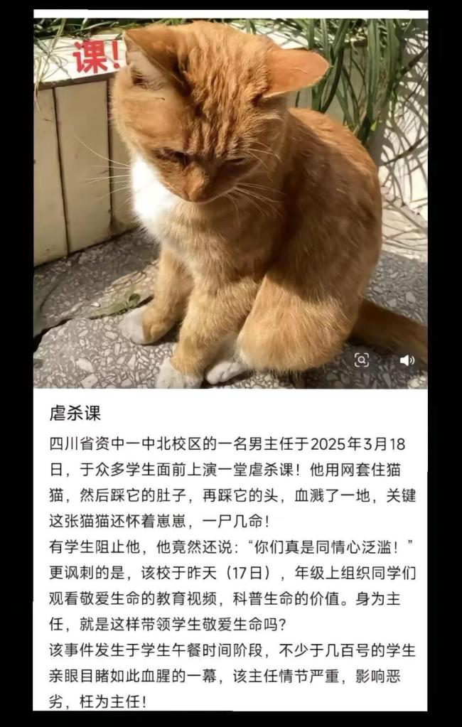 一中學安保主任當學生面殺貓