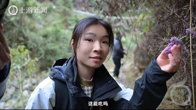 00后女孩辞掉白领工作进山当护林员 守护大山的快乐