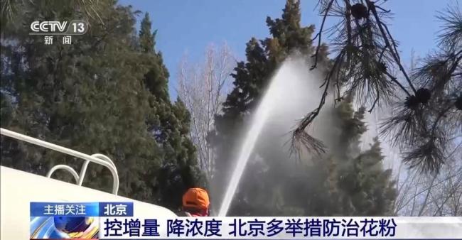 為啥今年北京花粉這么大 氣溫回升與風(fēng)力助推