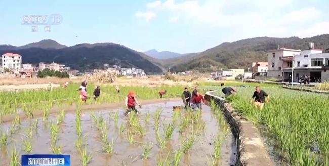 春天里的中国活力满满 花开遍地赏春忙