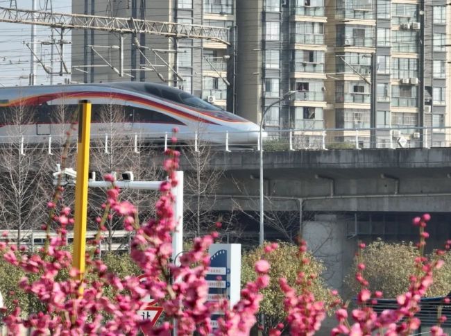 武漢馬拉松連海綿都是櫻花形狀 浪漫賽道迎接跑者